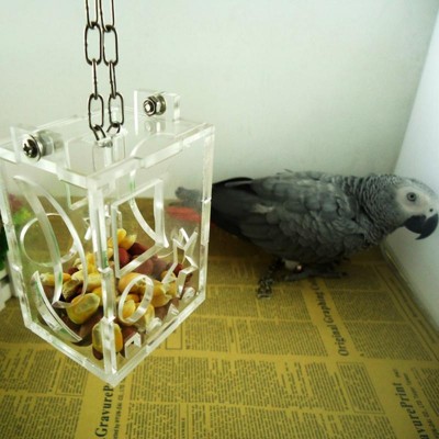 New Pet Parrots Acrylic Foraging Feeder Boxes Transparent Parrots Hanging Feeding Cage